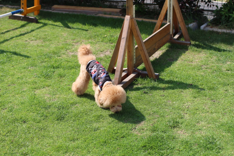 f:id:elehnoah:20140620180540j:plain