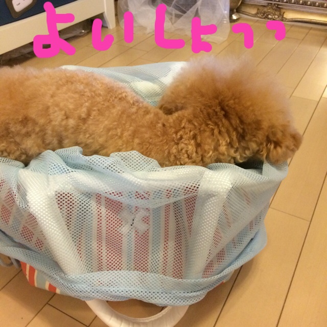 f:id:elehnoah:20140809133350j:plain