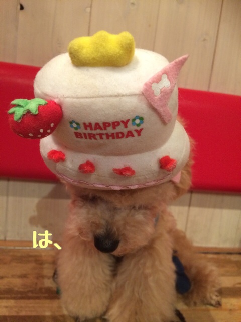 f:id:elehnoah:20140927130654j:plain f:id:elehnoah:20140927130654j:plain