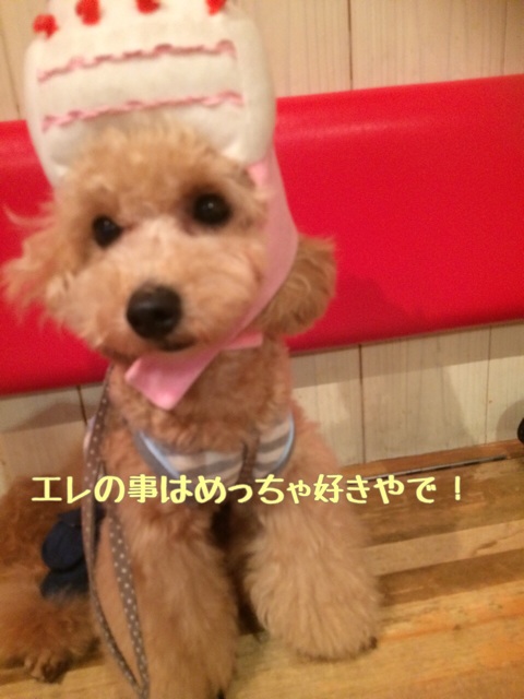 f:id:elehnoah:20140927131117j:plain f:id:elehnoah:20140927131117j:plain
