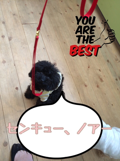 f:id:elehnoah:20140928172444j:plain f:id:elehnoah:20140928172444j:plain