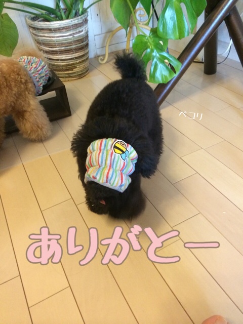 f:id:elehnoah:20140929182524j:plain f:id:elehnoah:20140929182524j:plain